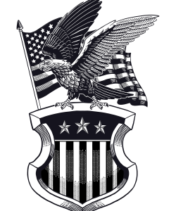 American Eagle Perched on the American Shield